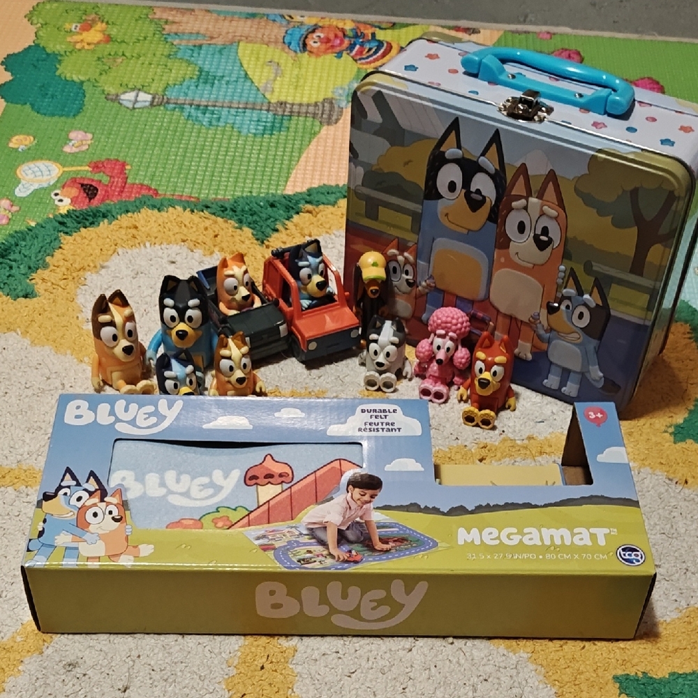 Bluey play lot